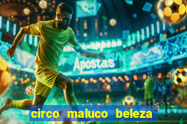 circo maluco beleza recife circo maluco